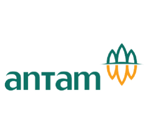 www.antam.com